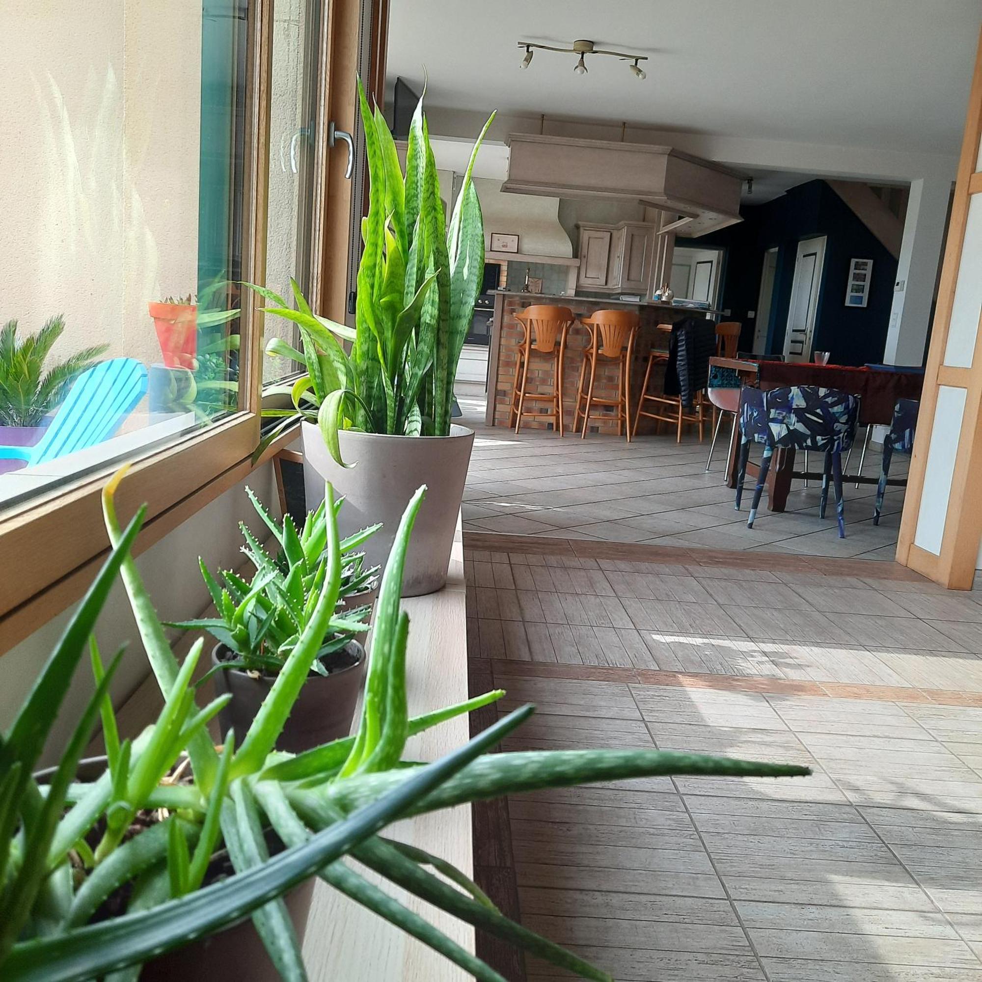 Magnifique Villa Avec Piscine Interieure Saint-Pois 外观 照片
